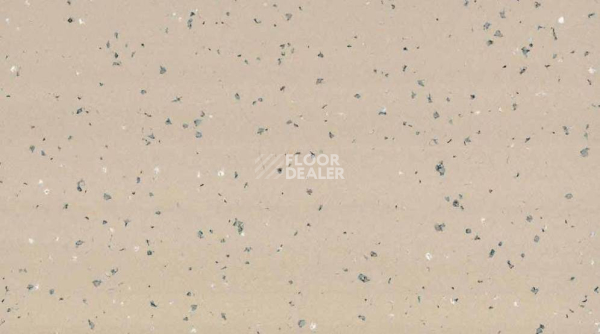 Линолеум Taralay Premium Compact Indiana 4343 TOKELAU фото 1 | FLOORDEALER